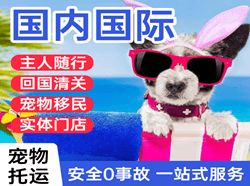 玉树巴塘机场快递国际宠物托运 【国